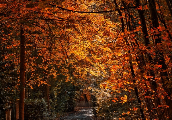 ON TOUR - Herbst im Hardter Wald ON TOUR - Herbst im Hardter Wald Ausflug in den Hardter Wald vom 30.10.2025