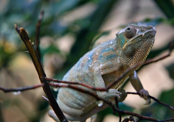 ON TOUR - Ausflug zum Terrazoo Rheinberg ON TOUR - Ausflug zum Terrazoo Rheinberg Ausflug zum Terrazoo Rheinberg vom 22.10.2025