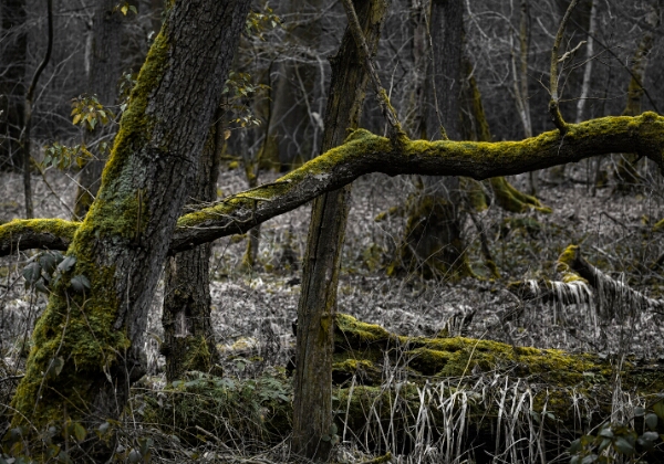 ON TOUR - Tüschenbroicher Mühle II ON TOUR - Tüschenbroicher Mühle II Tüschenbroicher Mühle vom 15.02.2025