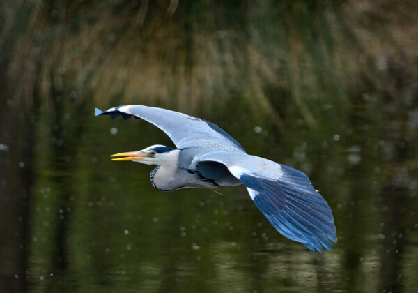ON TOUR - Beobachtungsturm Vogelschutzgebiet Nette ON TOUR - Beobachtungsturm Vogelschutzgebiet Nette Beobachtungsturm Vogelschutzgebiet Nette vom 12.04.2024