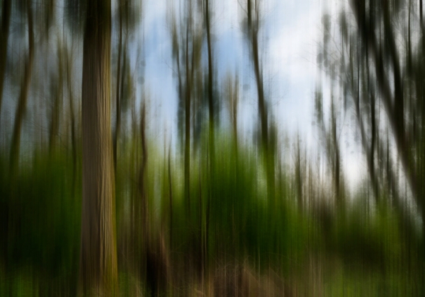 ON TOUR - Urdenbacher Kämpe ON TOUR - Urdenbacher Kämpe Urdenbacher Kämpe vom 31.03.2024