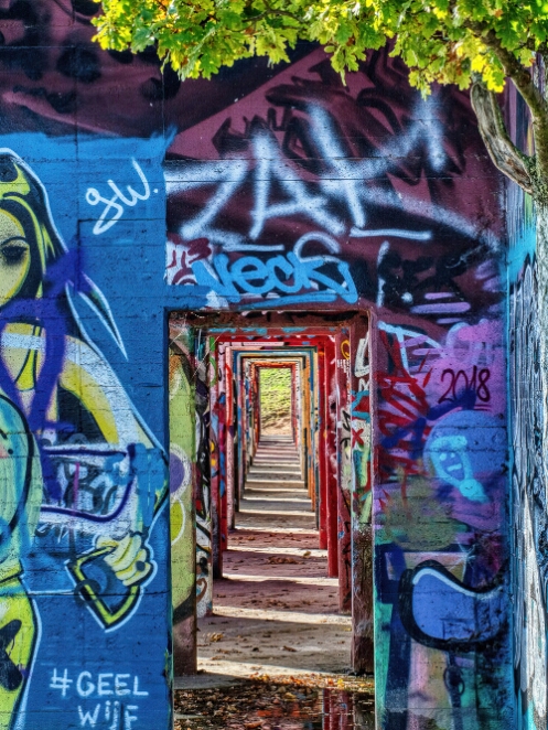 DSC_8531_NEO_HDR_web